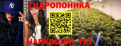 хмурый Кандалакша