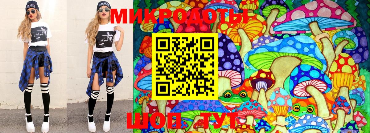 Псилоцибиновые грибы Psilocybe Коркино